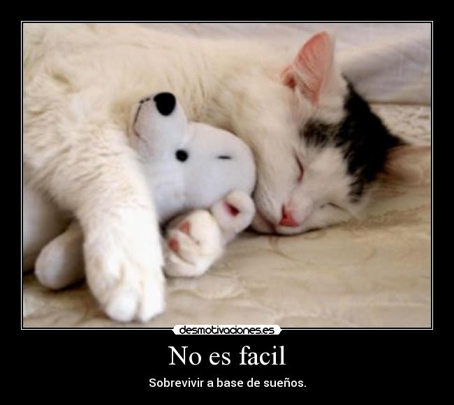 No es facil - Sobrevivir a base de sueños.