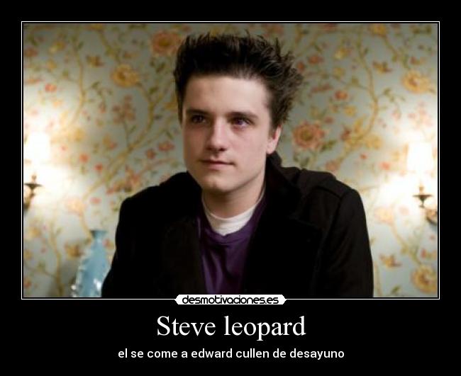 Steve leopard - 