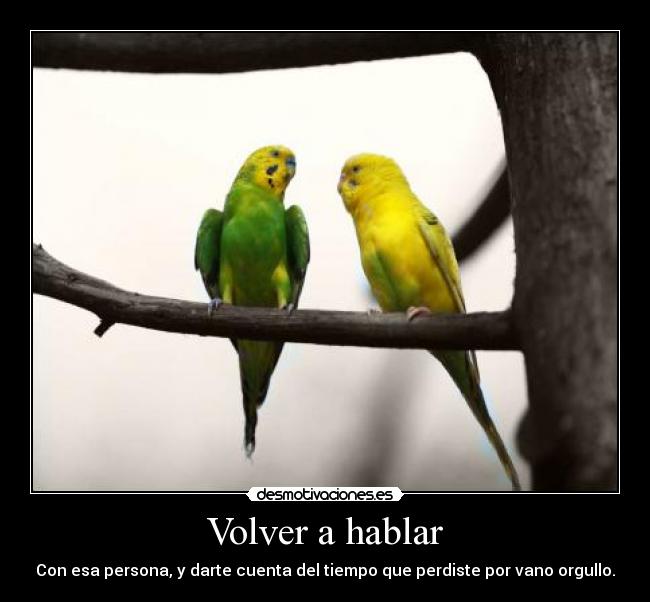 Volver a hablar - 
