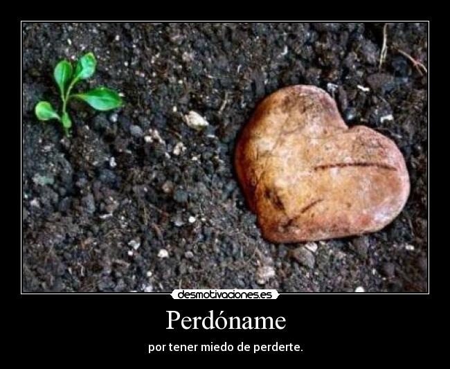 Perdóname - por tener miedo de perderte.