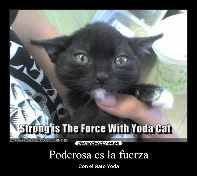 Poderosa es la fuerza -