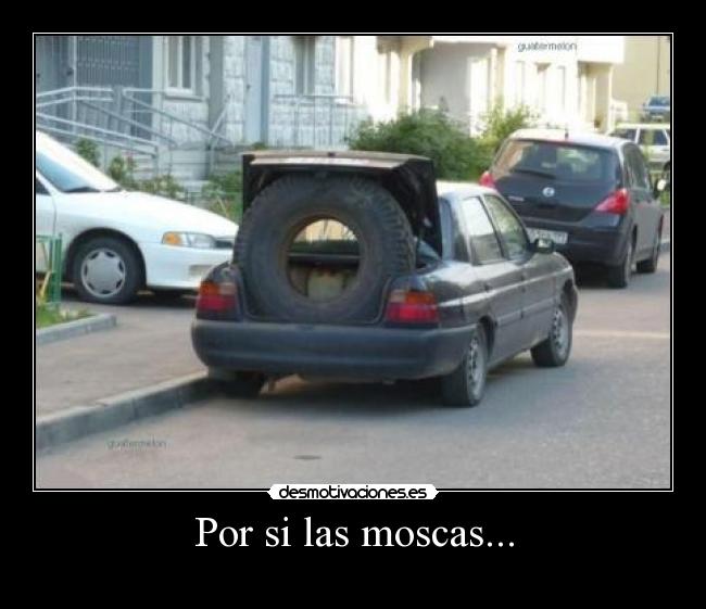 Por si las moscas... -