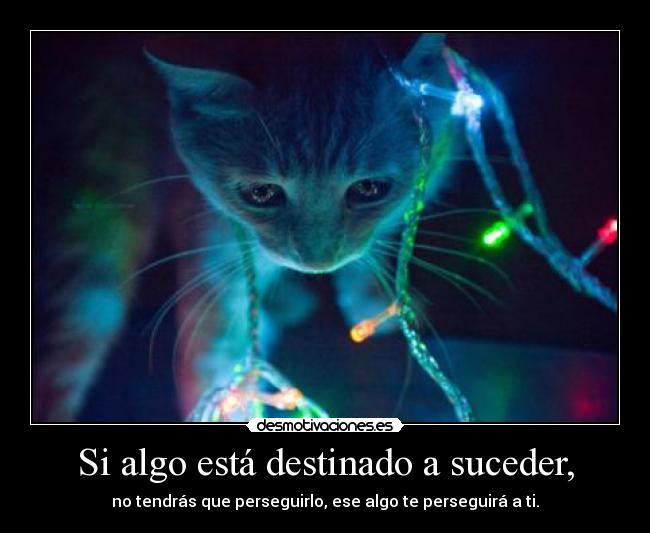 Frases - Os Vigaristas