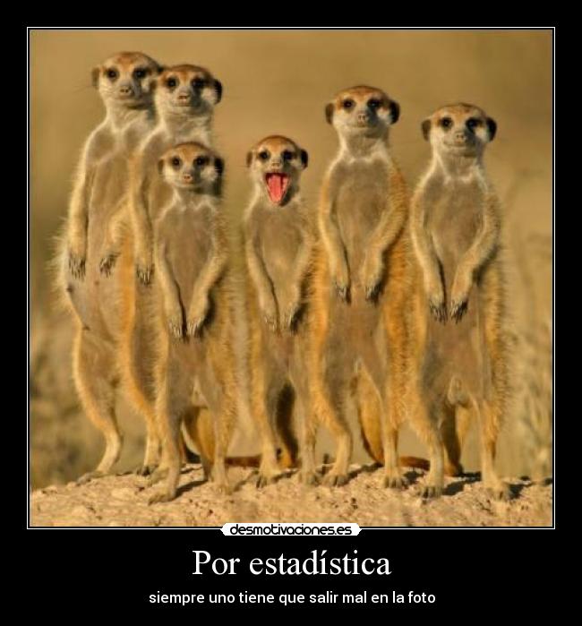 carteles que guapets son jajajaja mas que nosotros desmotivaciones