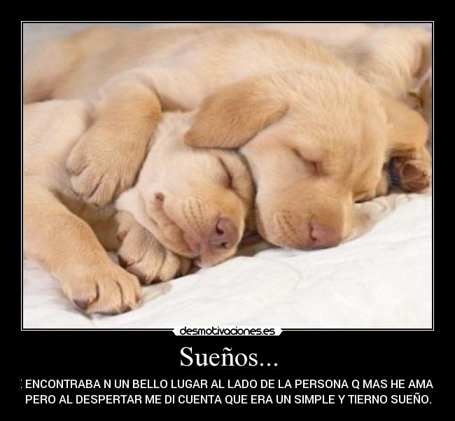 Sueños... - ME ENCONTRABA N UN BELLO LUGAR AL LADO DE LA PERSONA Q MAS HE AMADO,
PERO AL DESPERTAR ME DI CUENTA QUE ERA UN SIMPLE Y TIERNO SUEÑO.