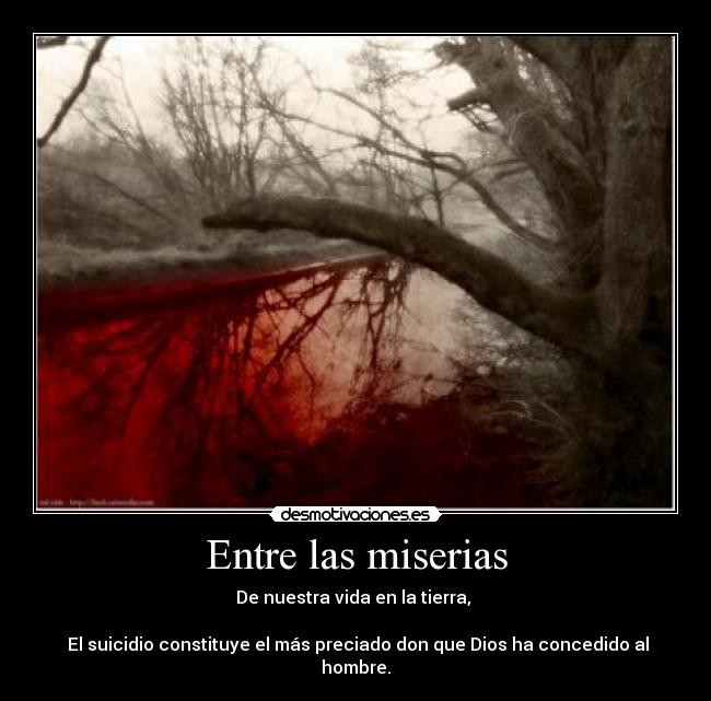 Entre las miserias - De nuestra vida en la tierra, 

 El suicidio constituye el más preciado don que Dios ha concedido al hombre.