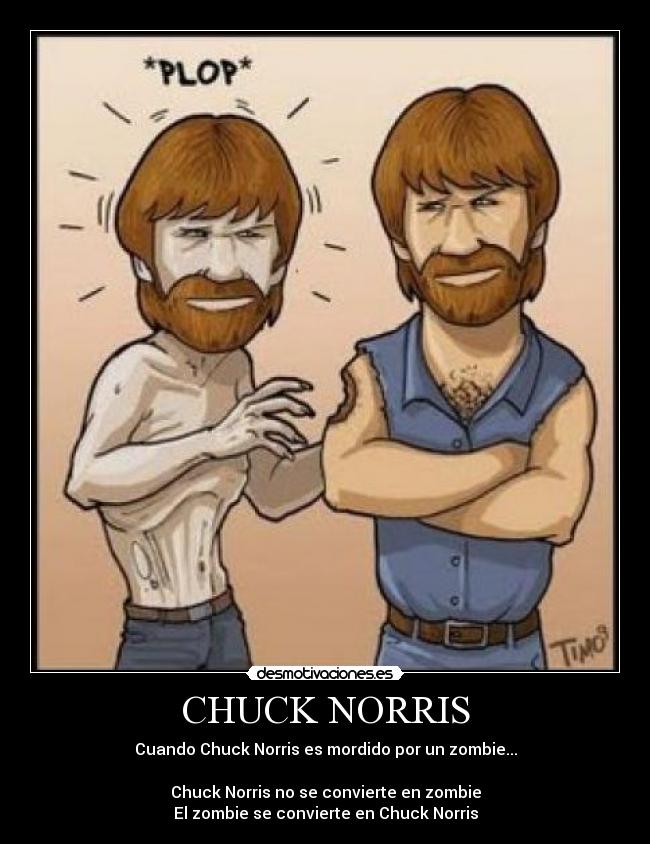 CHUCK NORRIS - 