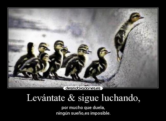 Levántate & sigue luchando, - por mucho que duela,
ningún sueño,es imposible.