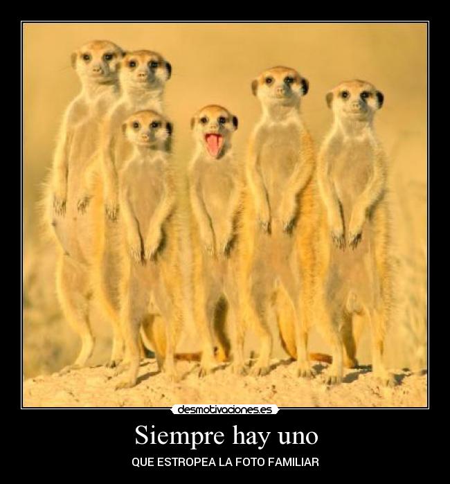 Siempre hay uno - QUE ESTROPEA LA FOTO FAMILIAR