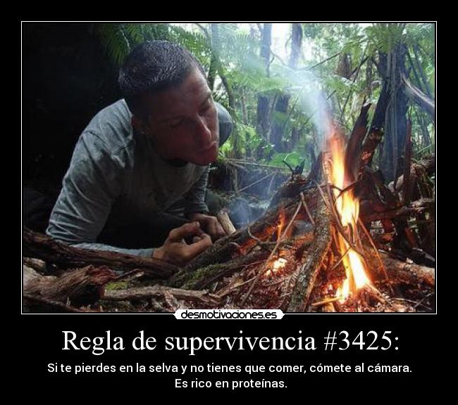 Regla de supervivencia #3425: - Si te pierdes en la selva y no tienes que comer, cómete al cámara.
Es rico en proteínas.