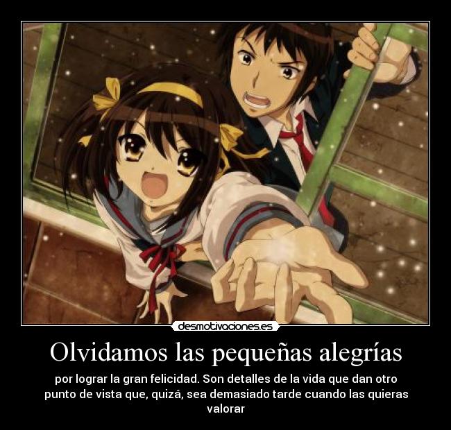 Olvidamos las pequeñas alegrías - 