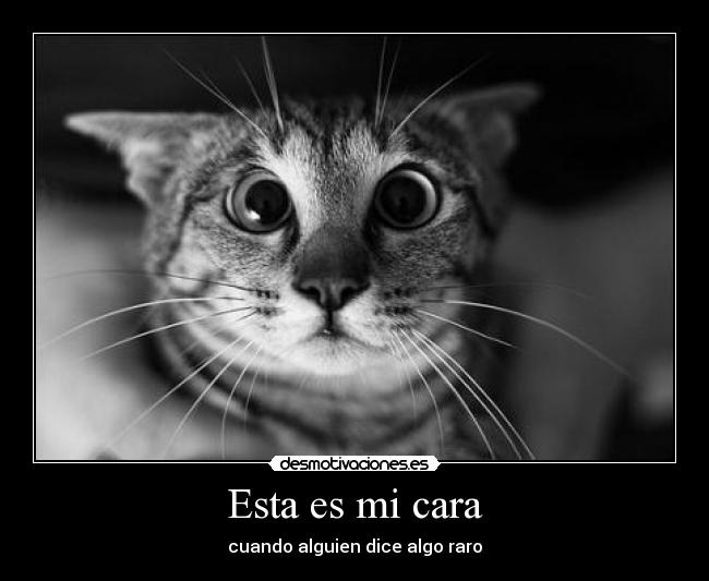 Esta es mi cara - cuando alguien dice algo raro