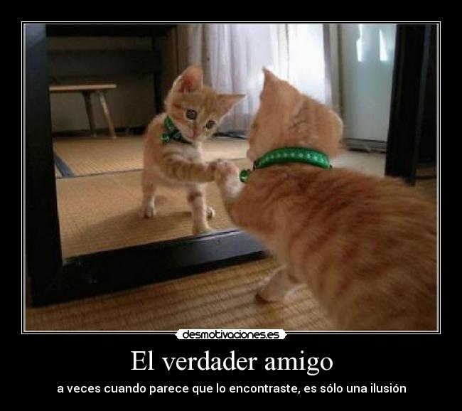 carteles amigo desmotivaciones