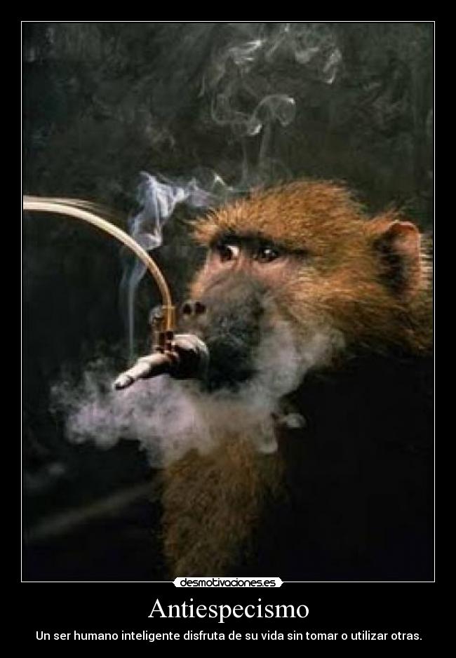 Antiespecismo - 
