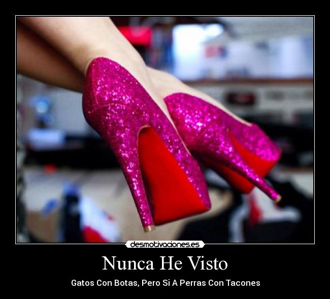 Nunca He Visto - Gatos Con Botas, Pero Si A Perras Con Tacones