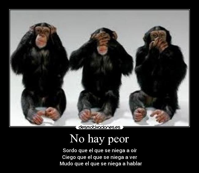 carteles monos desmotivaciones