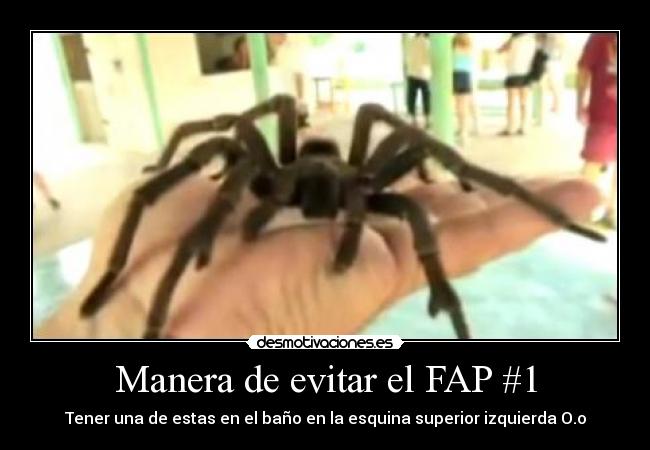 Manera de evitar el FAP #1 - Tener una de estas en el baño en la esquina superior izquierda O.o