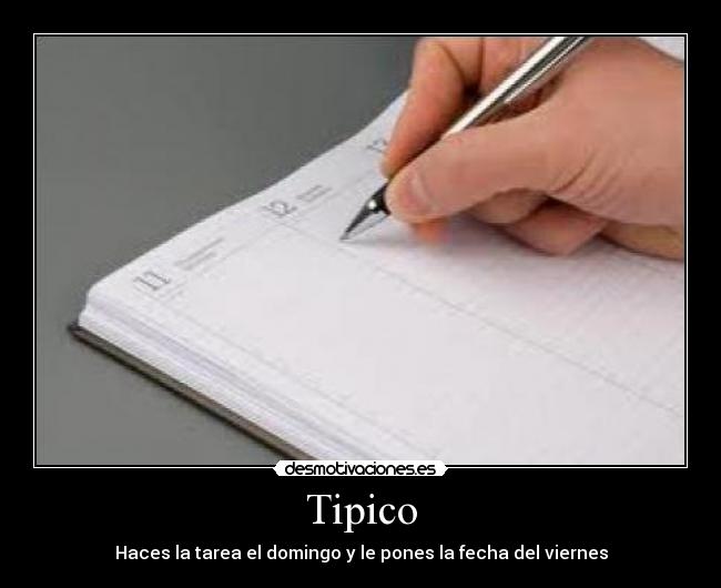 Tipico - 