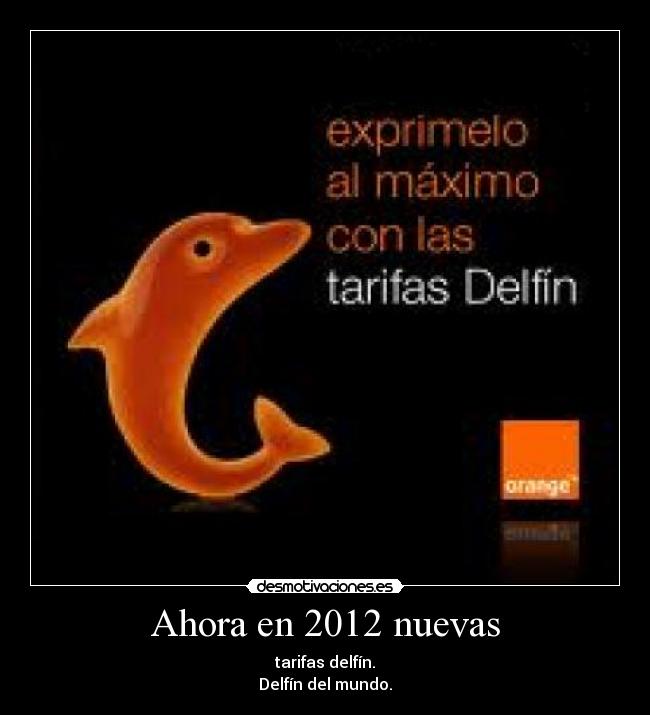carteles eso delfin desmotivaciones
