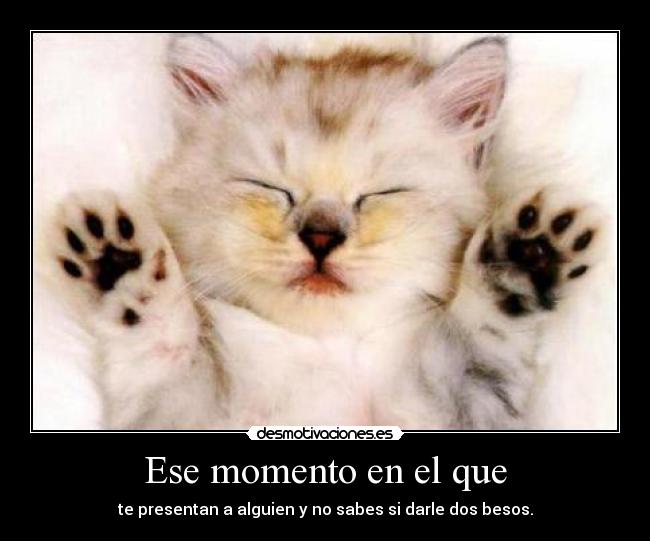 carteles gatosjejeje amaiuki92 desmotivaciones