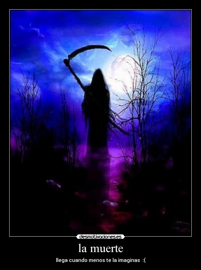 carteles muerte muerte desmotivaciones