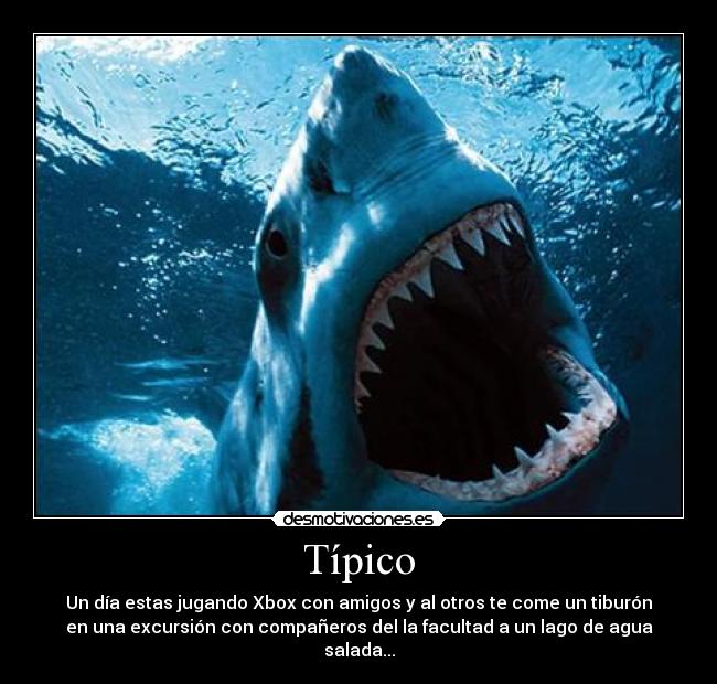 Típico - Un día estas jugando Xbox con amigos y al otros te come un tiburón
en una excursión con compañeros del la facultad a un lago de agua
salada...