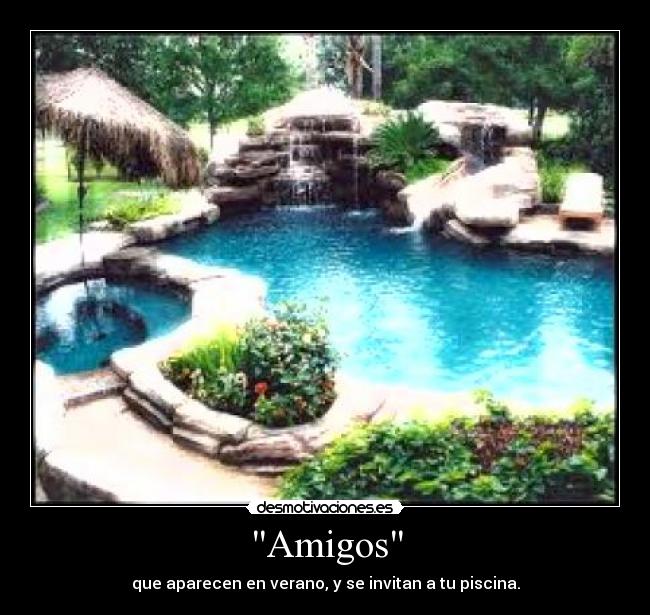 Amigos - que aparecen en verano, y se invitan a tu piscina.