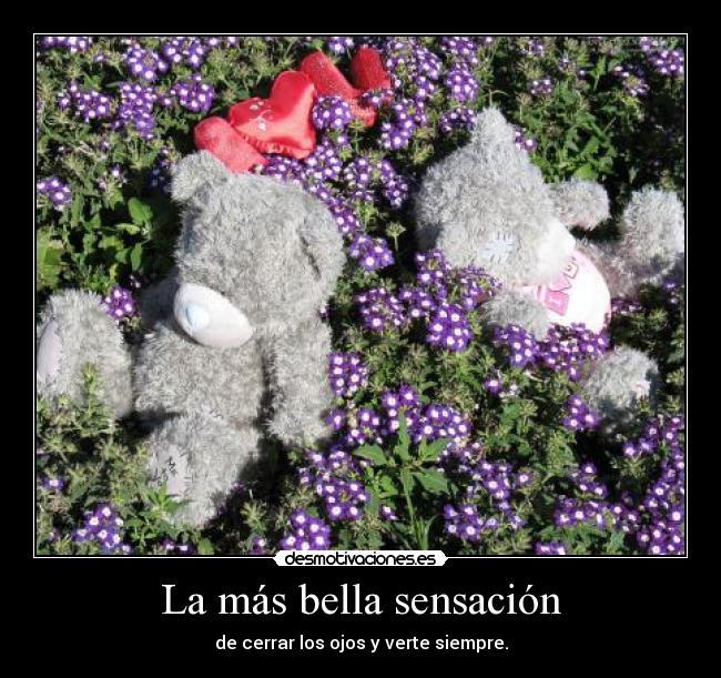 La más bella sensación - de cerrar los ojos y verte siempre.