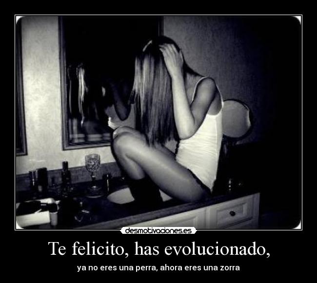 carteles evolucion desmotivaciones