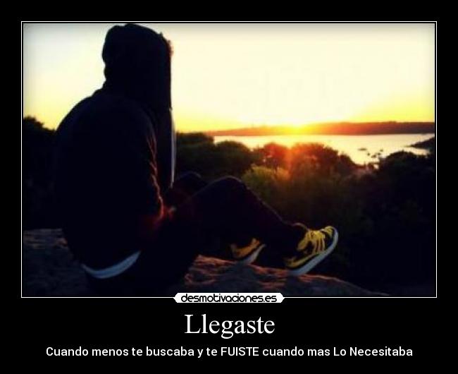 Llegaste - 