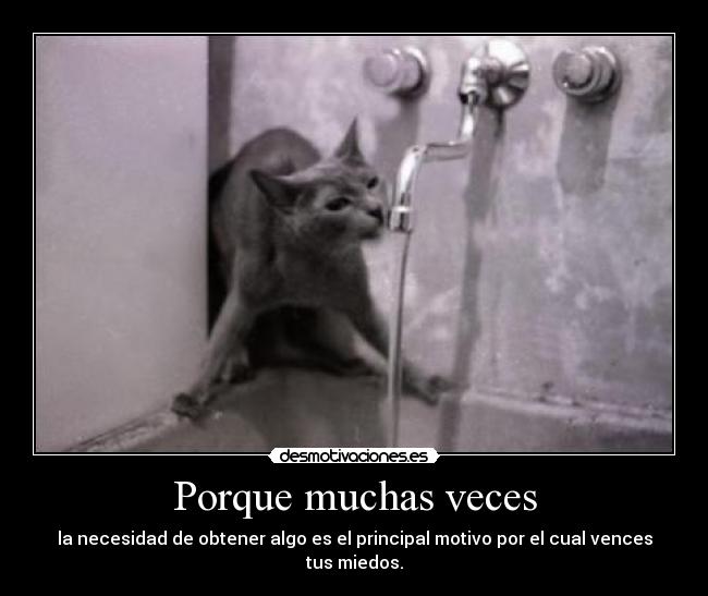 Porque muchas veces -