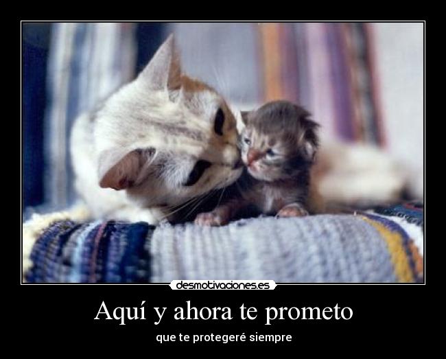 Aquí y ahora te prometo - que te protegeré siempre