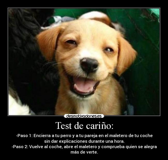 Test de cariño: - -Paso 1: Encierra a tu perro y a tu pareja en el maletero de tu coche
sin dar explicaciones durante una hora.
-Paso 2: Vuelve al coche, abre el maletero y comprueba quien se alegra
más de verte.