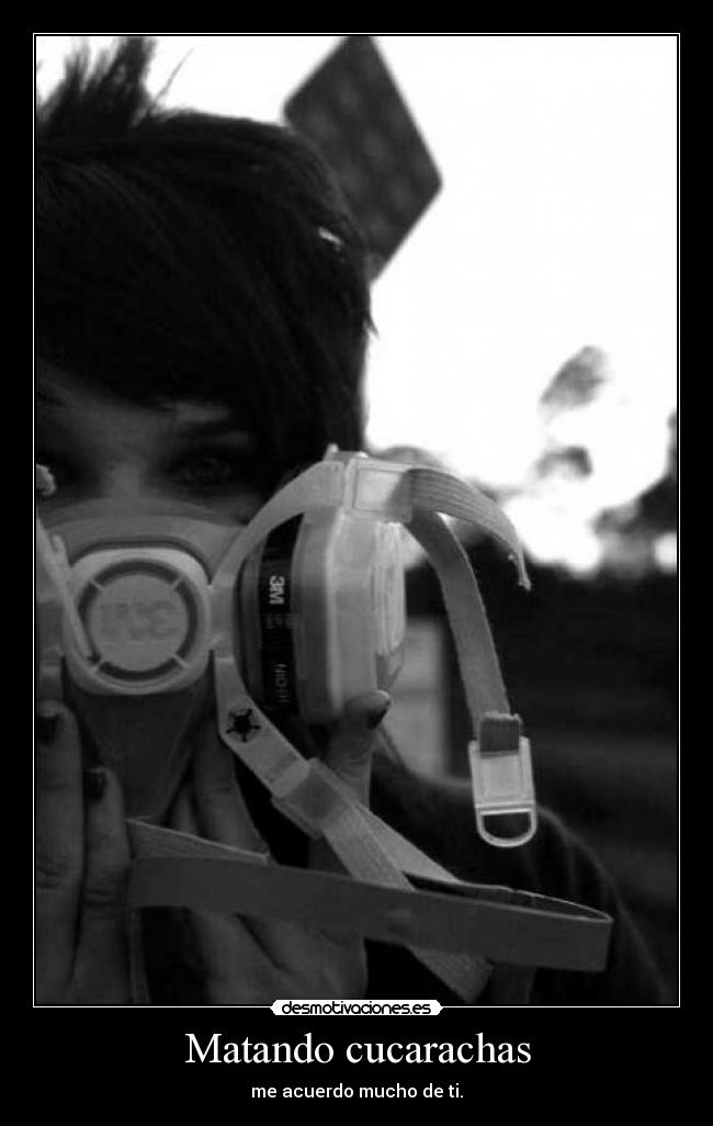 Matando cucarachas - me acuerdo mucho de ti.