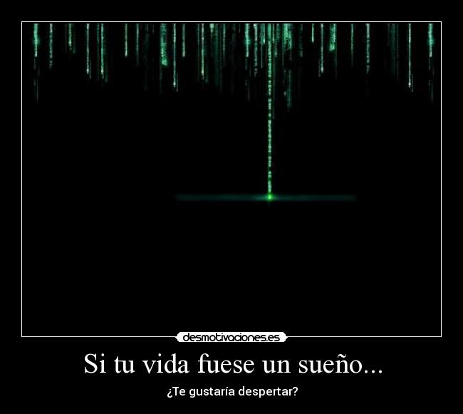 Si tu vida fuese un sueño... -