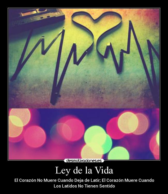 Ley de la Vida - El Corazón No Muere Cuando Deja de Latir; El Corazón Muere Cuando
Los Latidos No Tienen Sentido