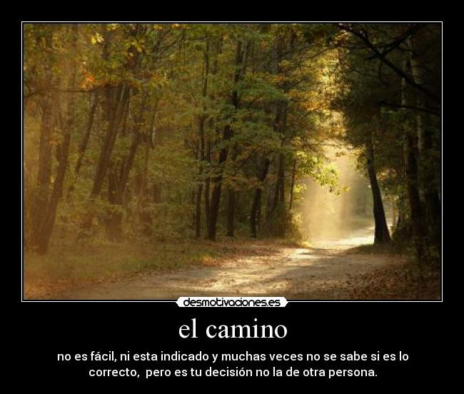 el camino -