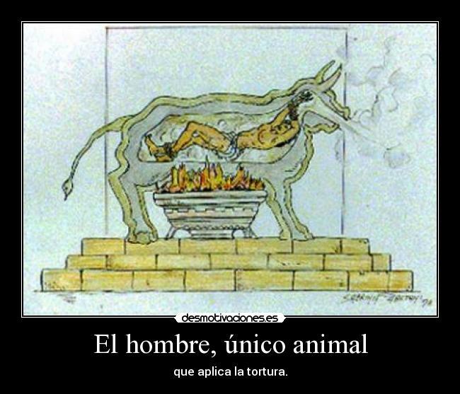 El hombre, único animal -