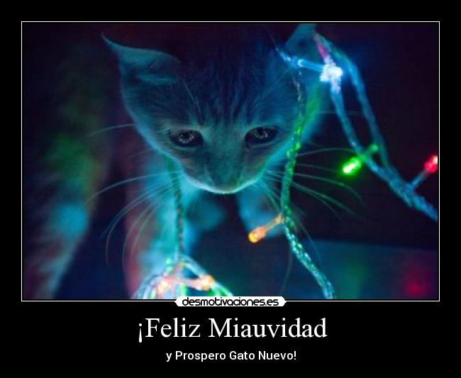¡Feliz Miauvidad - y Prospero Gato Nuevo!