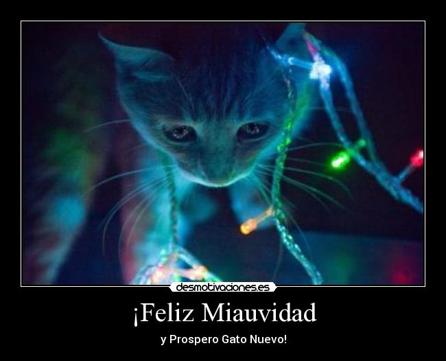 ¡Feliz Miauvidad -