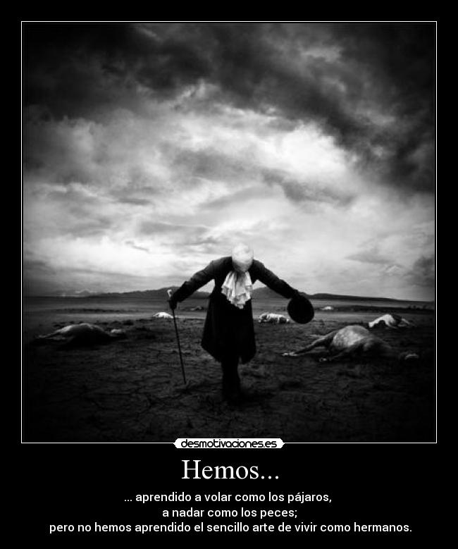 Hemos... - ... aprendido a volar como los pájaros, 
a nadar como los peces;
 pero no hemos aprendido el sencillo arte de vivir como hermanos.