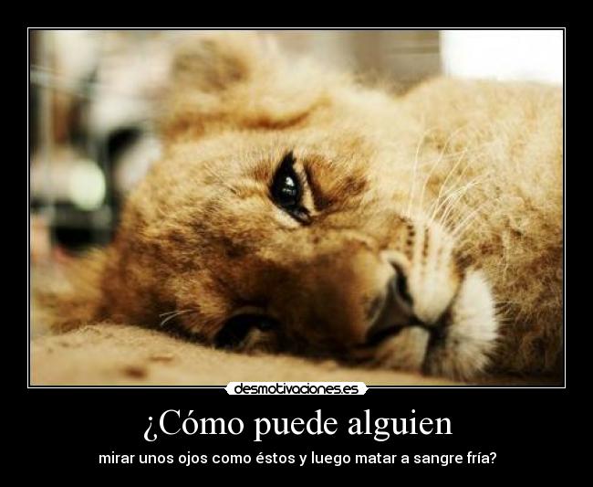 carteles idiotez humana sorprende hasta limites insospechados joder desmotivaciones