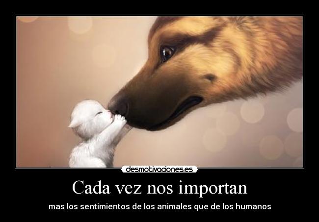 Cada vez nos importan - 