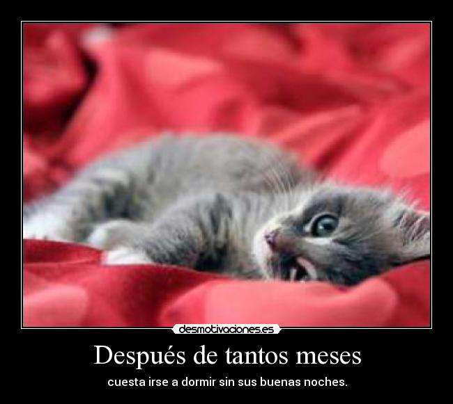 Después de tantos meses - 