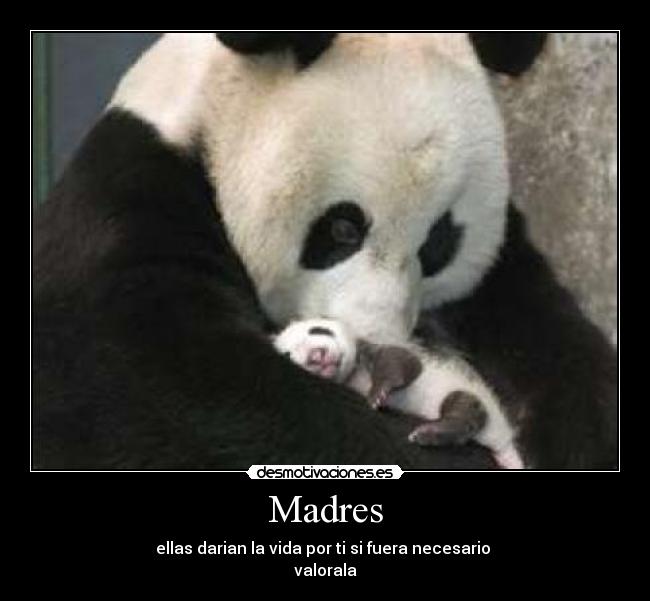 Madres - ellas darian la vida por ti si fuera necesario 
valorala