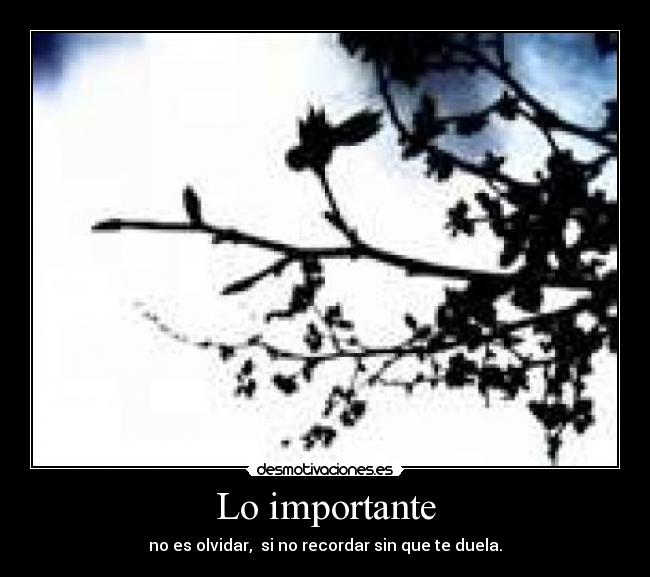Lo importante - 