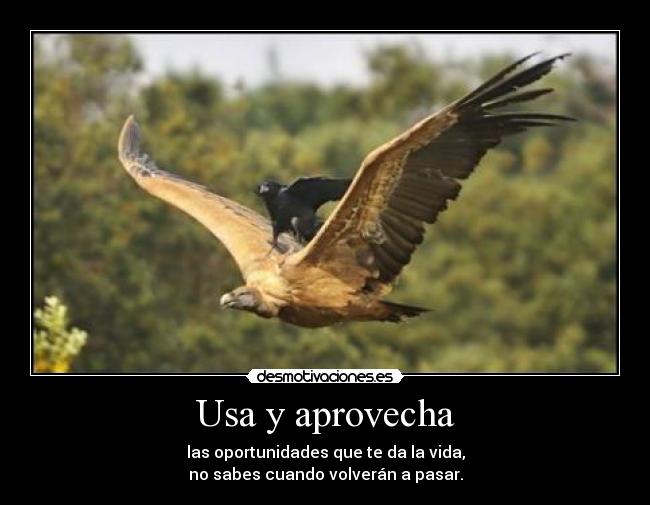 Usa y aprovecha - las oportunidades que te da la vida,
no sabes cuando volverán a pasar.