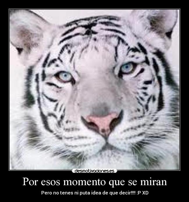 Por esos momento que se miran -