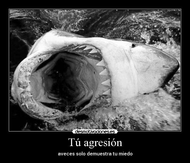 carteles dreadk aveces hambre desmotivaciones