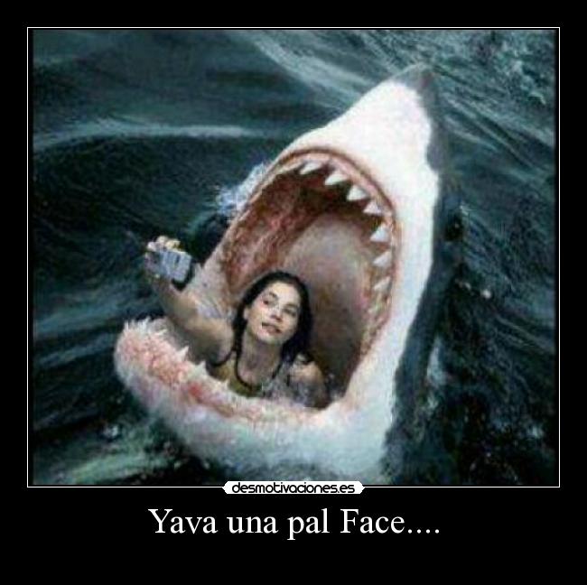 Yava una pal Face.... - 